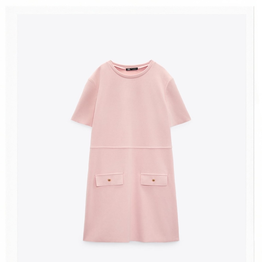 Zara Faux Suede Dress